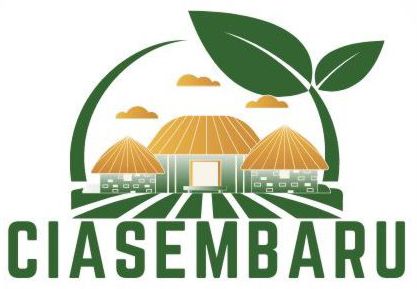 Logo Ciasem